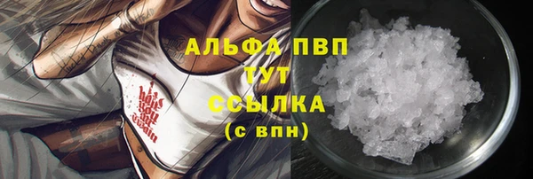 индика Верхний Тагил