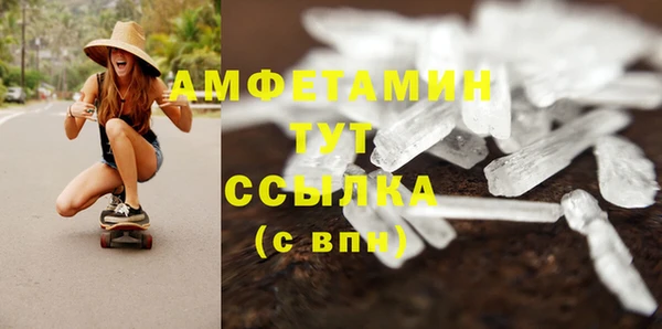 индика Верхний Тагил