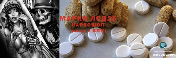 индика Верхний Тагил