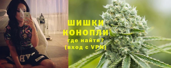мдпв Володарск